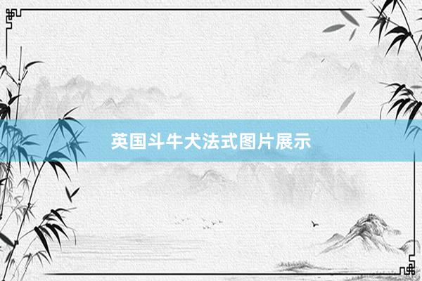 英国斗牛犬法式图片展示